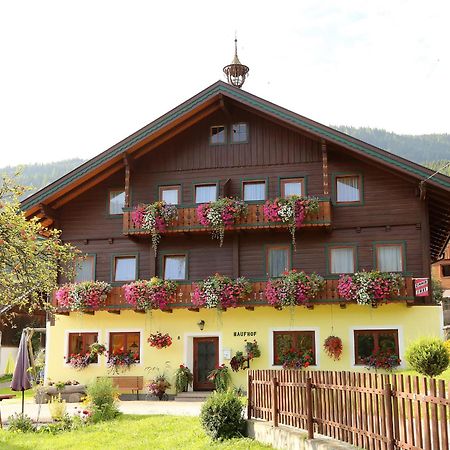 Haufhof-Pension Am Bauernhof, Haus Im Ennstal Bei Schladming Luaran gambar