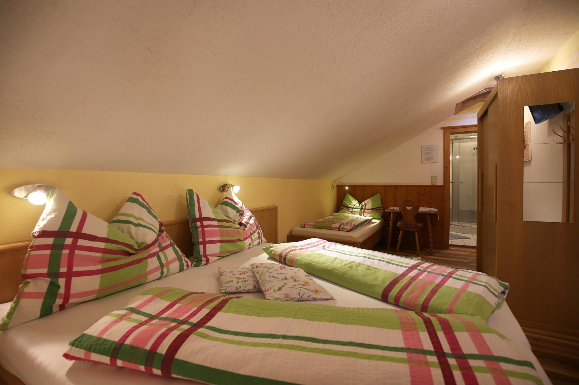 Haufhof-Pension Am Bauernhof, Haus Im Ennstal Bei Schladming Luaran gambar