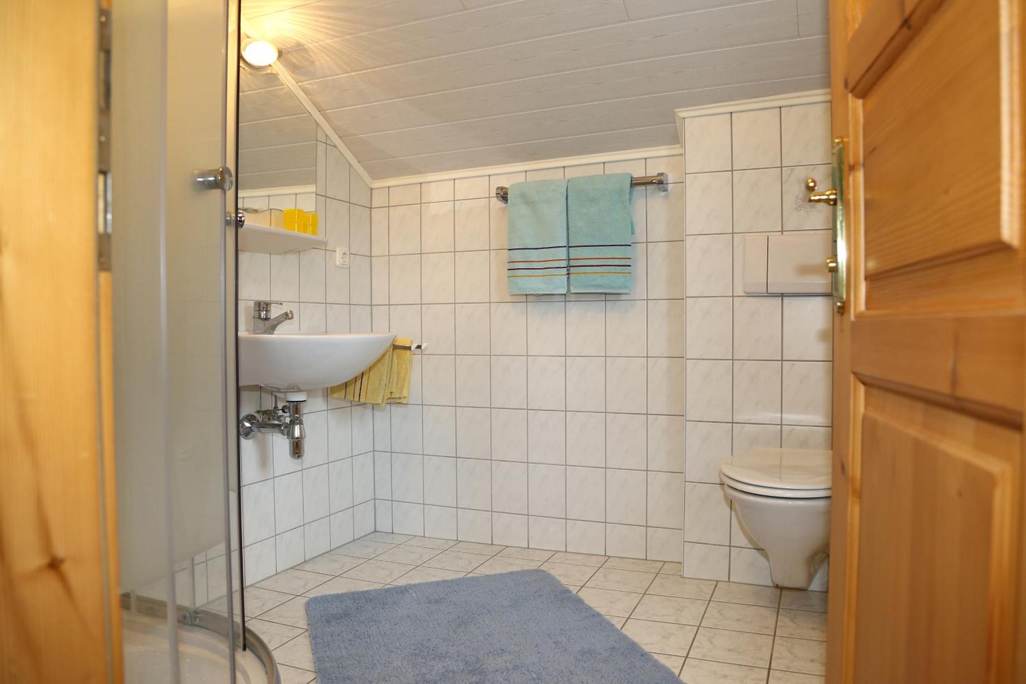 Haufhof-Pension Am Bauernhof, Haus Im Ennstal Bei Schladming Luaran gambar