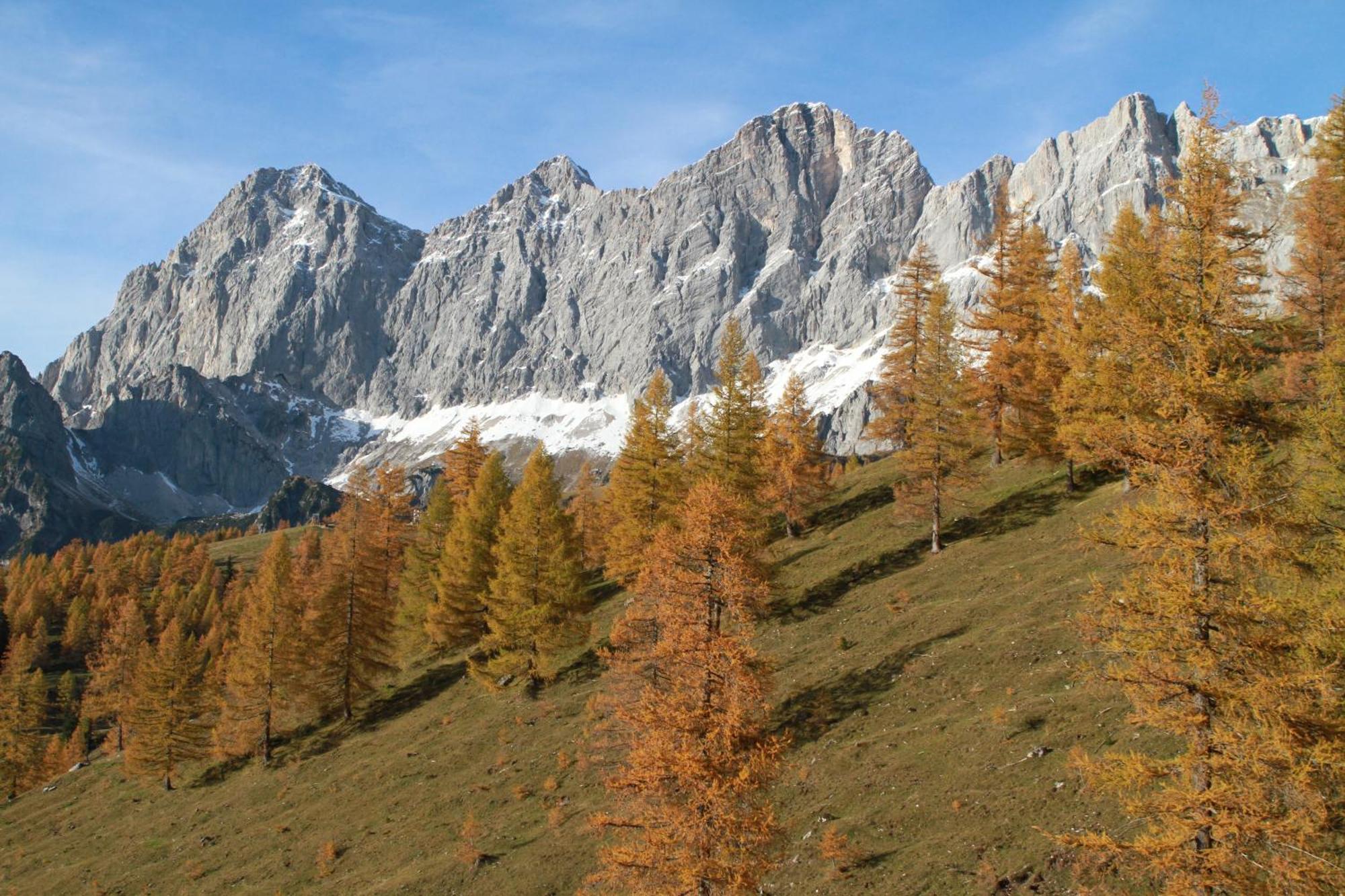 Haufhof-Pension Am Bauernhof, Haus Im Ennstal Bei Schladming Luaran gambar