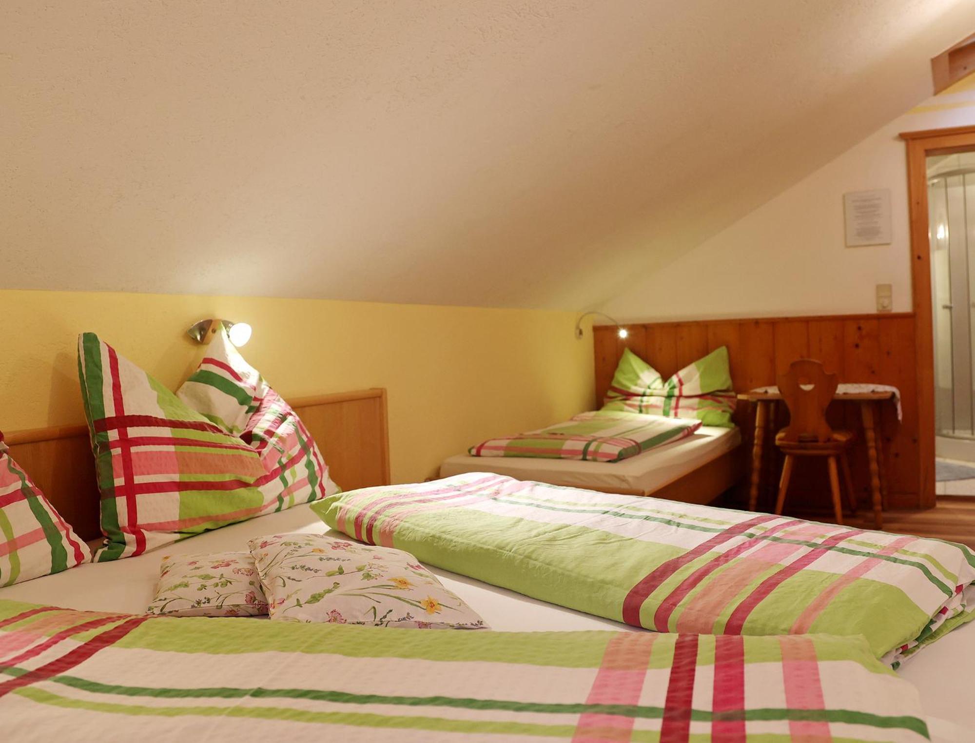 Haufhof-Pension Am Bauernhof, Haus Im Ennstal Bei Schladming Luaran gambar