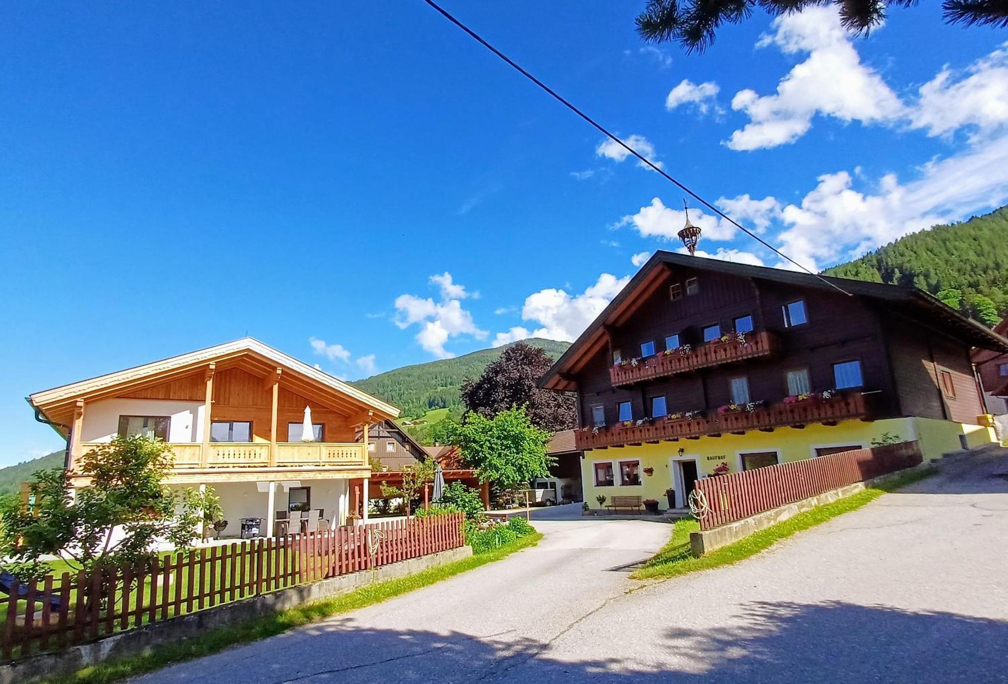 Haufhof-Pension Am Bauernhof, Haus Im Ennstal Bei Schladming Luaran gambar