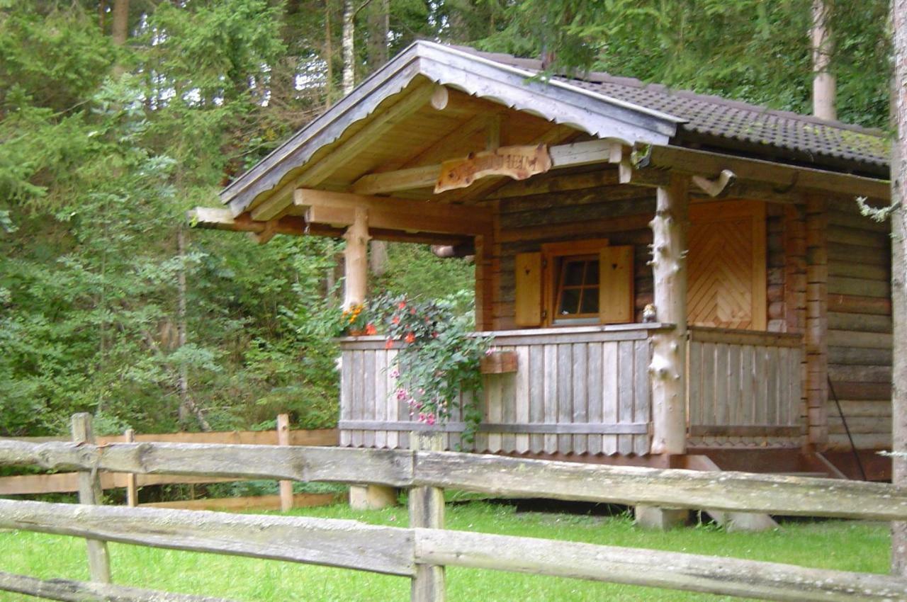 Haufhof-Pension Am Bauernhof, Haus Im Ennstal Bei Schladming Luaran gambar